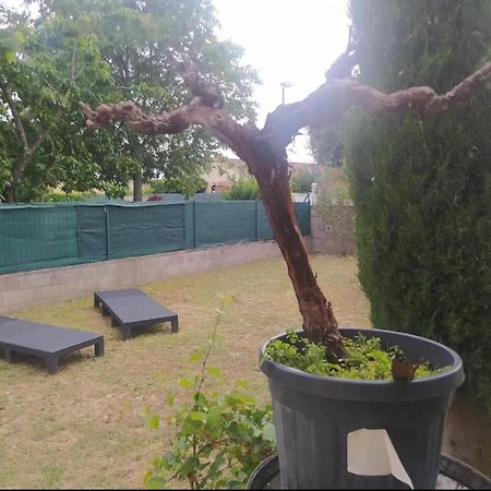 Appartamento Chambre Proche N7 / A7 / Ardeche / Via-Rhona / Velo-Drome Livron-sur-Drôme Esterno foto